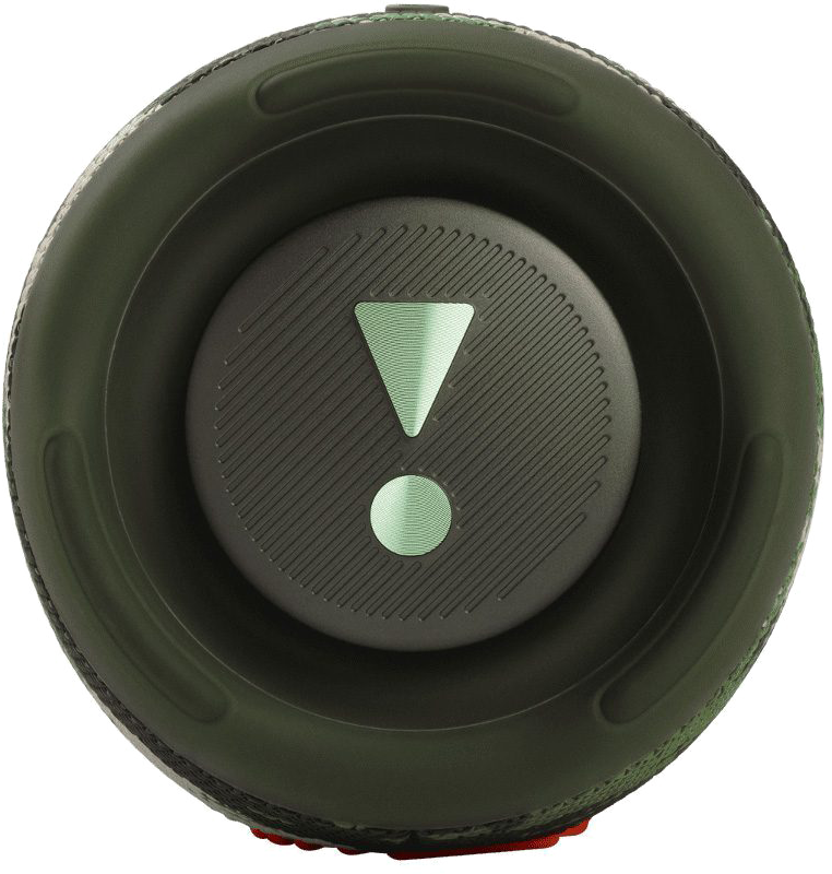 Портативная колонка JBL Charge 5 (Squad)