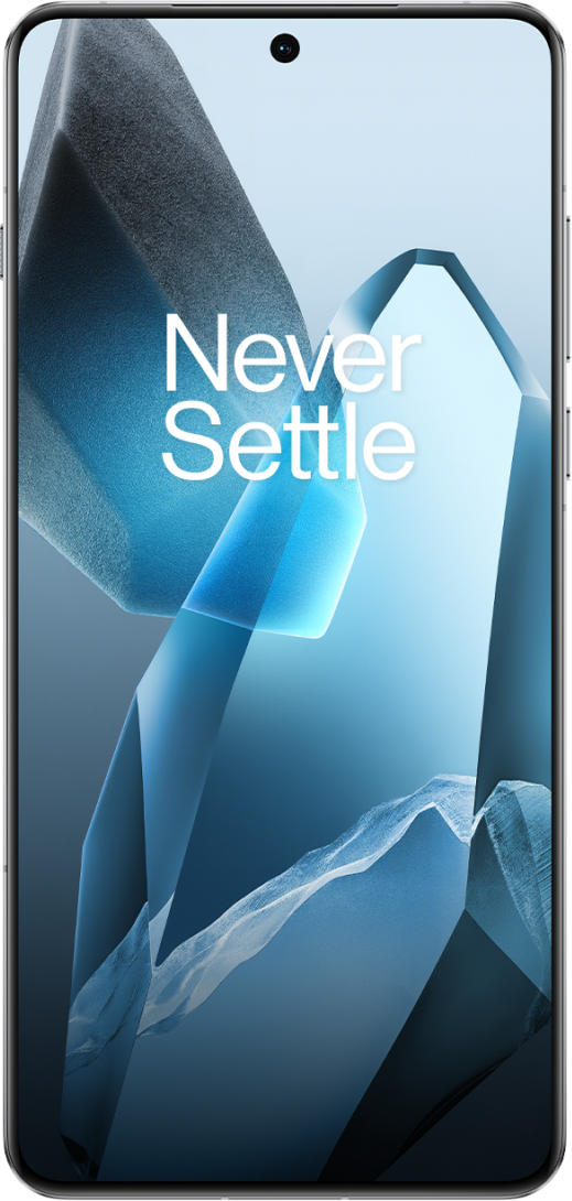 Смартфон OnePlus 13 12/256Gb (Midnight Ocean)
