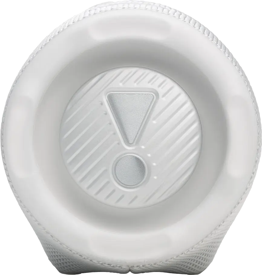 Портативная колонка JBL Charge 6 (White)