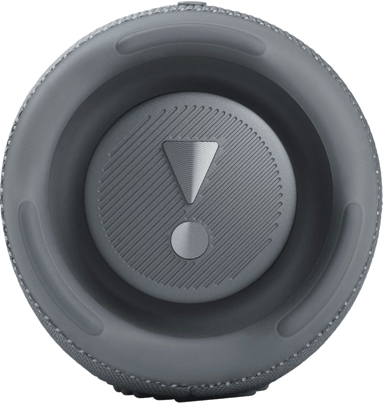 Портативная колонка JBL Charge 5 (Gray)