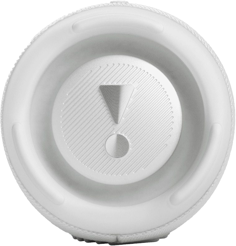 Портативная колонка JBL Charge 5 (White)
