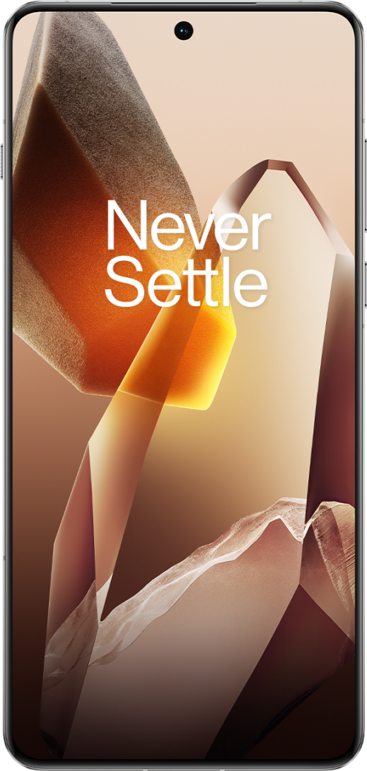 Смартфон OnePlus 13 12/256Gb (Arctic Dawn)