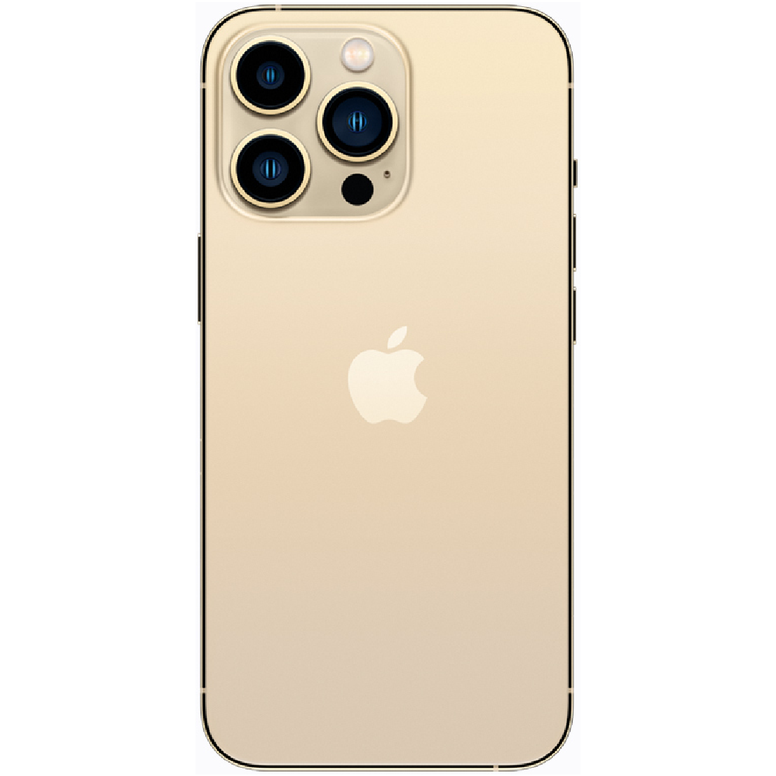 Apple iPhone 13 Pro 256GB Gold (Бывшего Употребления)