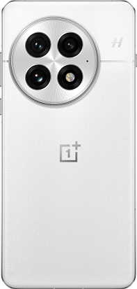 Смартфон OnePlus 13 24/1Tb (Arctic Dawn)